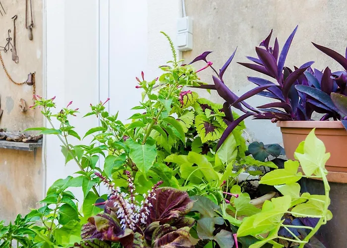 Caceris - Comfort With Terrace Dubrovnik