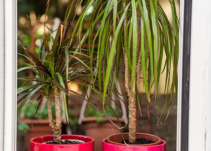 Апартаменты Caceris - Comfort With Terrace Дубровник